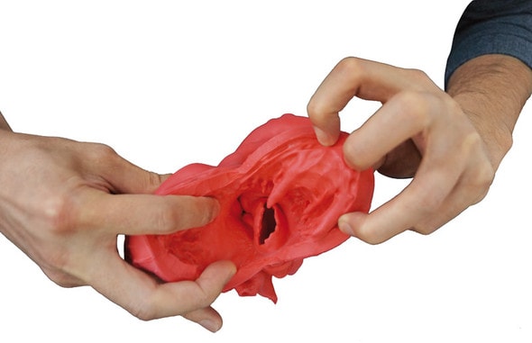 Heart Model, Flexible, Didactical Version - Opaque Heart Model, Flexible, Didactical Version - Opaque
