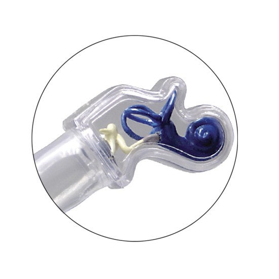 Clear Ear Anatomy Model