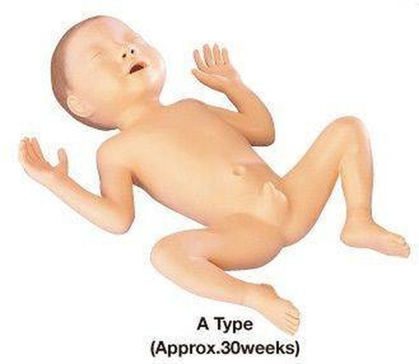 KOKEN Pronatis Model 30 Weeks