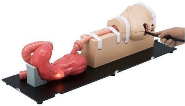 KOKEN EGD Simulator
