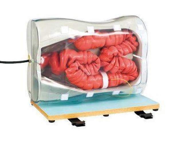 KOKEN Colonoscopy Simulator Type II