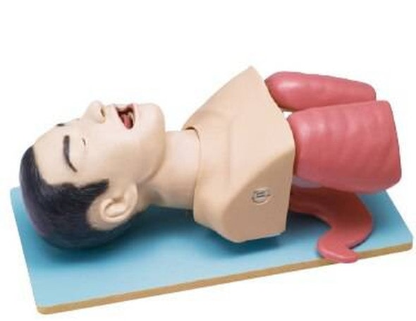 KOKEN Airway Management Model