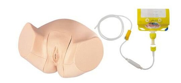 KOKEN Urethral Catheterization Model