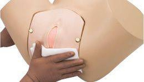 KOKEN Obstetric Model Vulva II Primipara Type