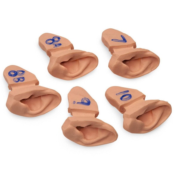 Life/form Ear Examination Supplementary Set of Ear Replicas for Advanced Training Life/form Ear Examination Supplementary Set of Ear Replicas for Advanced Training
