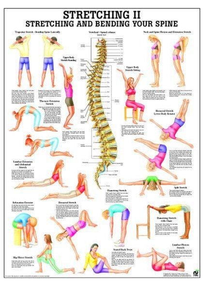 Stretching II Laminated Fitness Poster