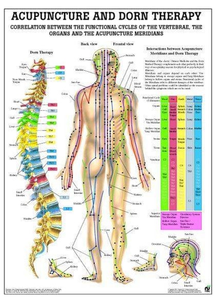 Meridian and Dorn Therapy Laminated Poster
