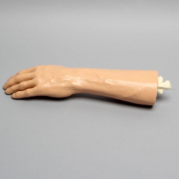 Encased Hand Wrist with Solid Foam Ulna, Radius, and Hand Encased Hand Wrist with Solid Foam Ulna, Radius, and Hand