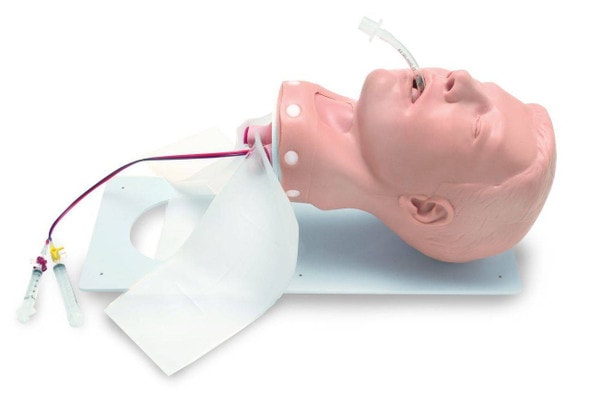 Deluxe Adult Airway Management Head Model