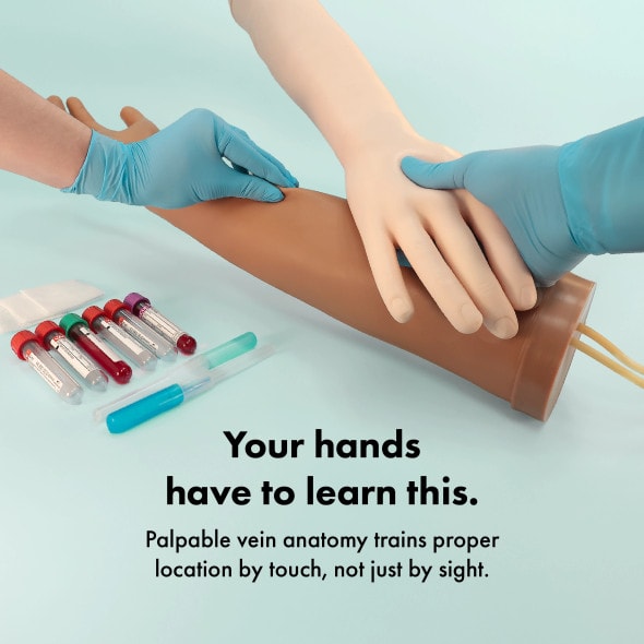 Anatomy Lab Venipuncture and IV Practice Arm Kit and Simulation Arm