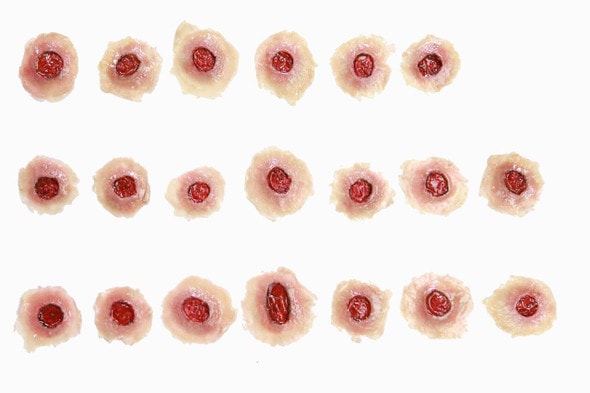Anatomy Lab Moulage - 20 Piece Set of Gunshot Entry Wounds Anatomy Lab Moulage - 20 Piece Set of Gunshot Entry Wounds