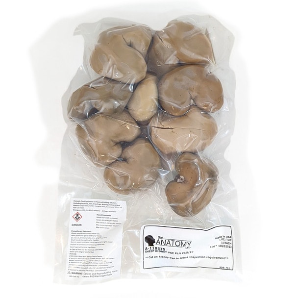 Showing the vacuum packed kidney multipack