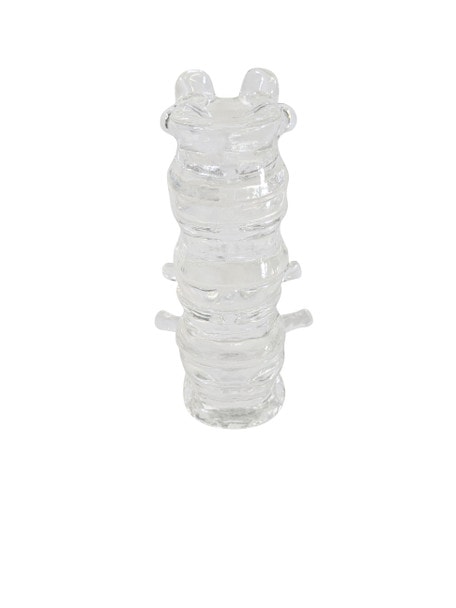 FlexBone Training Model - Thoracic and Lumbar Spine, T11 to L2