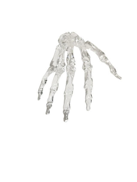 FlexBone Traning Model - Full Hand with Carpals