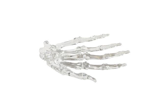 FlexBone Traning Model - Full Hand with Carpals