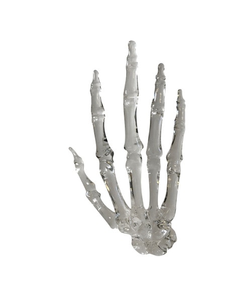 FlexBone Traning Model - Full Hand with Carpals
