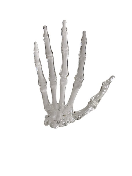 FlexBone Traning Model - Full Hand with Carpals