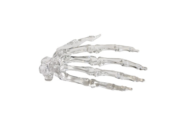FlexBone Traning Model - Full Hand with Carpals