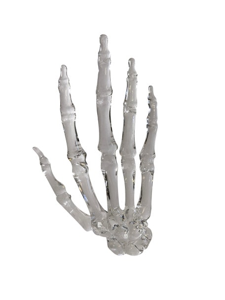 FlexBone Traning Model - Full Hand with Carpals