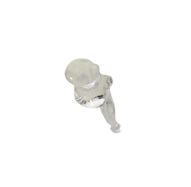 FlexBone Training Model - Ulna and Radius Bone