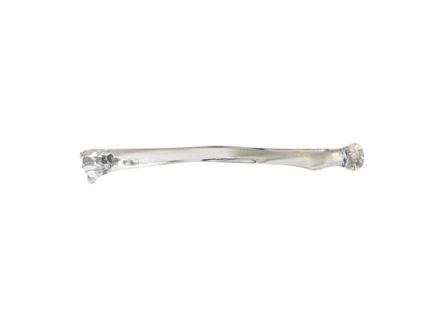 FlexBone Training Model - Ulna and Radius Bone