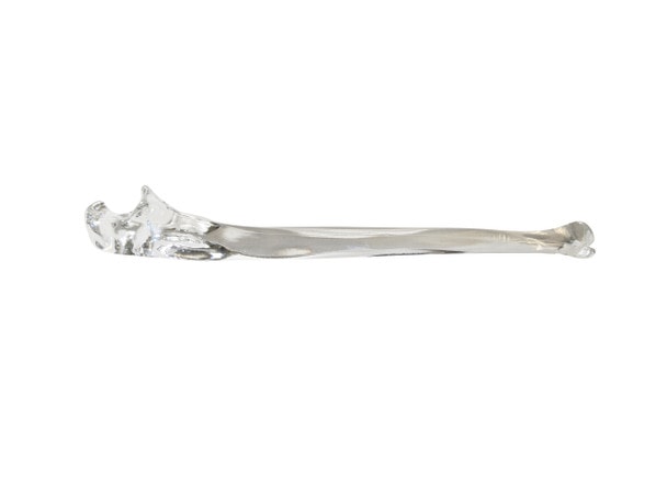 FlexBone Training Model - Ulna and Radius Bone