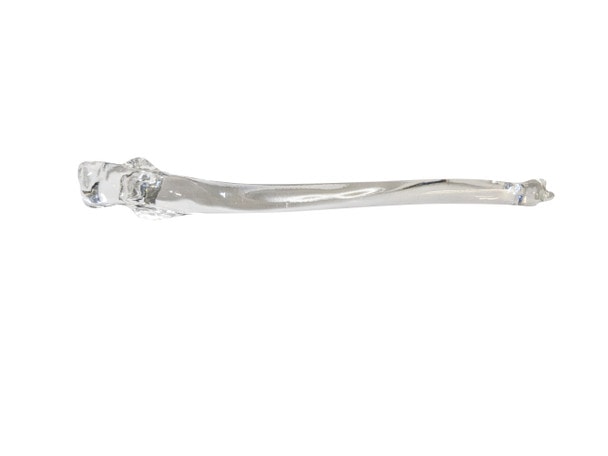 FlexBone Training Model - Ulna and Radius Bone