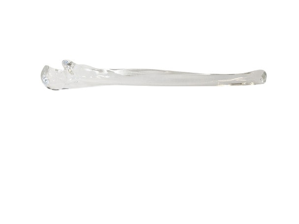 FlexBone Training Model - Ulna and Radius Bone