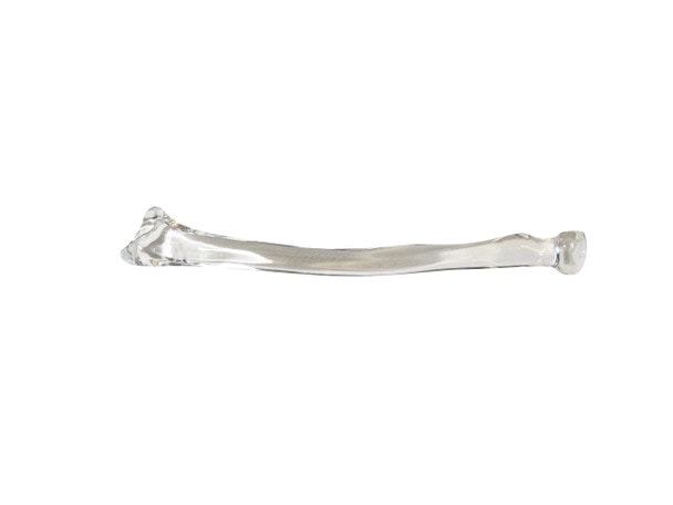 FlexBone Training Model - Ulna and Radius Bone
