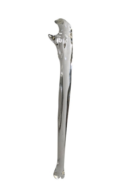 FlexBone Training Model - Ulna and Radius Bone