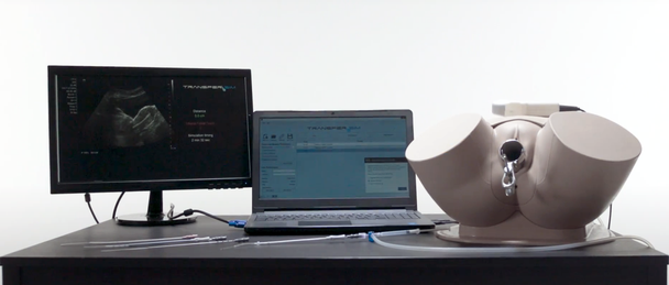TransferSim Assisted Human Reproduction Simulator
