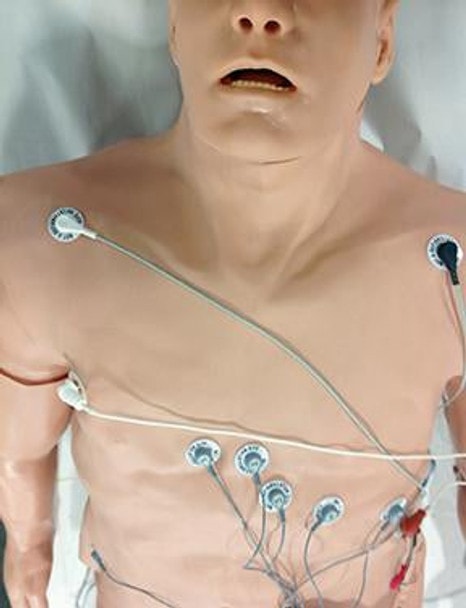ZOLL 12-Lead Arrhythmia Simulator with Manikin Overlay