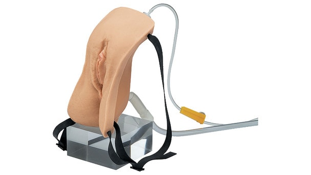 KOKEN Female Catheterization and Rectal Injection Model Type II