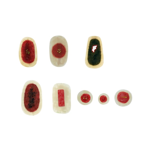 Anatomy Lab SP Moulage for TCM - Overview