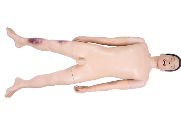 Manikin for clinical skills training including advanced airway management, NG/OG tubes placement, venipuncture, arterial blood collection, IM injection and more!