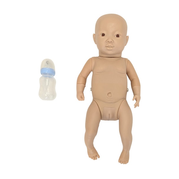 Anatomy Lab Intelligent Baby Girl