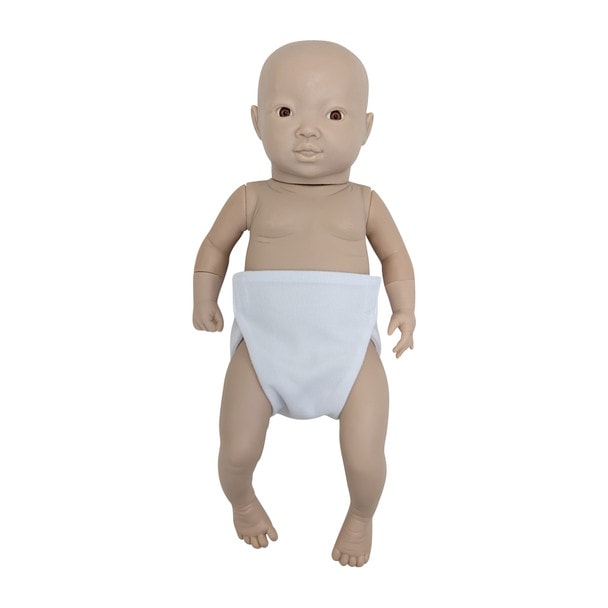 Anatomy Lab Intelligent Baby Girl