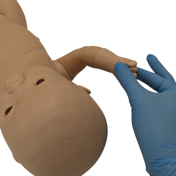 Anatomy Lab Intelligent Baby Girl