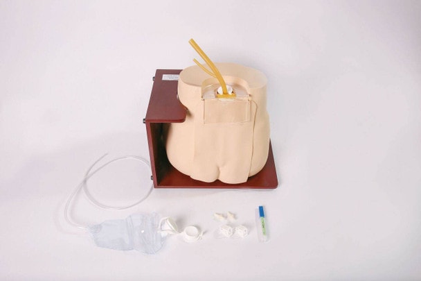 Anatomy Lab Lumbar Puncture Simulator