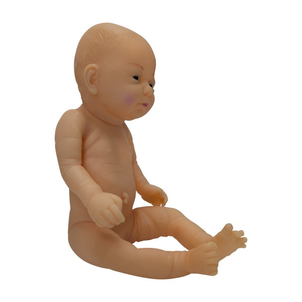 Anatomy Lab Infant Tracheostomy Care Manikin
