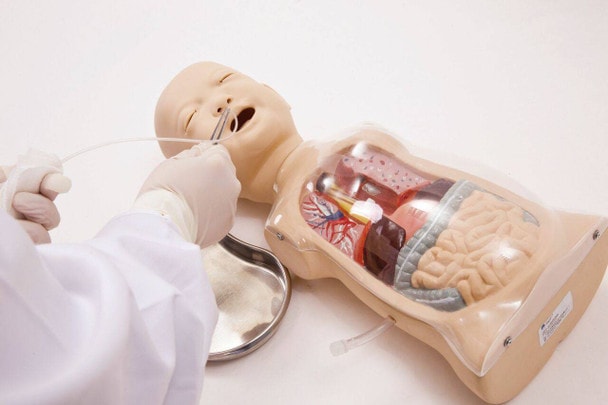 Anatomy Lab Infant Transparent Lavage Model