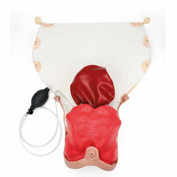 Birthing Simulator Postpartum Hemorrhage Module