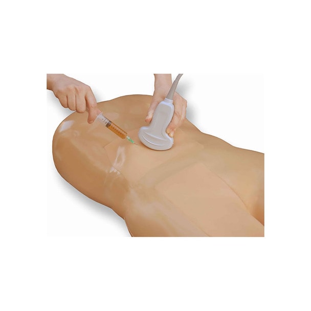 Paracentesis Ultrasound Replacement Tissue Insert
