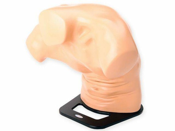 Midscapular Thoracentesis Ultrasound Training Model