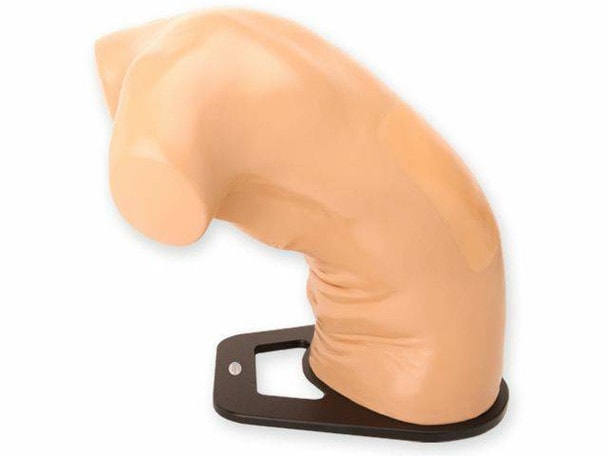 Midscapular Thoracentesis Ultrasound Training Model