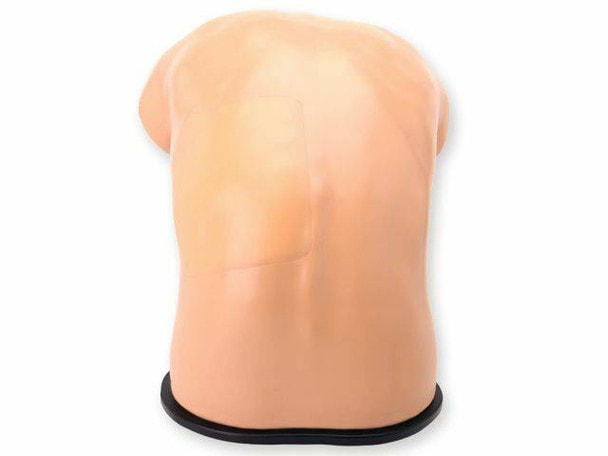 Midscapular Thoracentesis Ultrasound Training Model