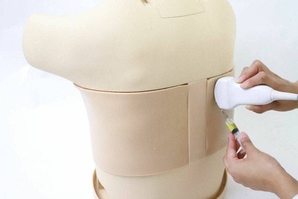 Anatomy Lab Thoracentesis Ultrasound Training Model