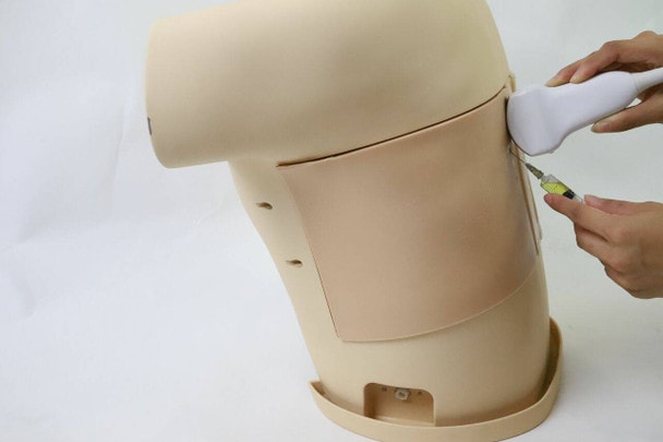 Anatomy Lab Thoracentesis Ultrasound Training Model