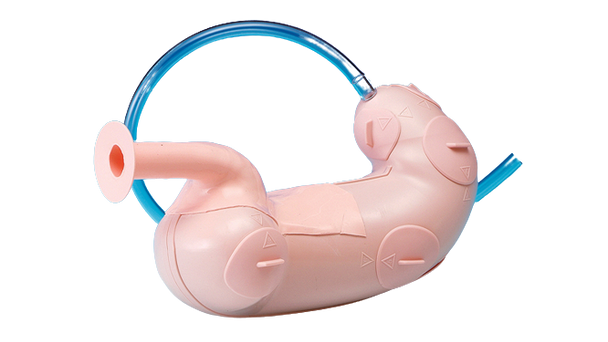 KOKEN Endoscopic Submucosal Dissection Training Model