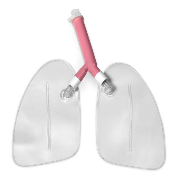 Replacement Lungs for Life/form Airway Larry Airway Management Trainer Manikins